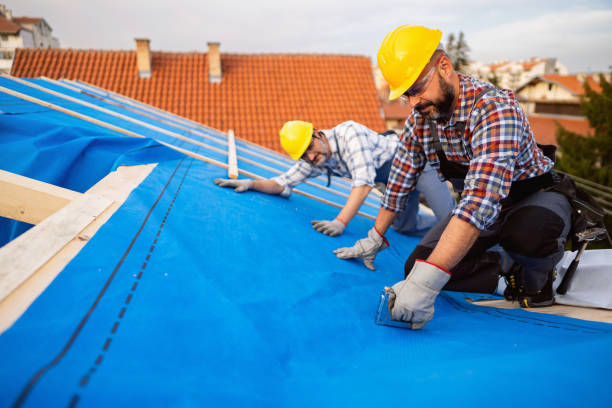 Best Roof Moss and Algae Removal  in Taft Southwest, TX